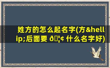 姓方的怎么起名字(方…后面要 🦢 什么名字好)